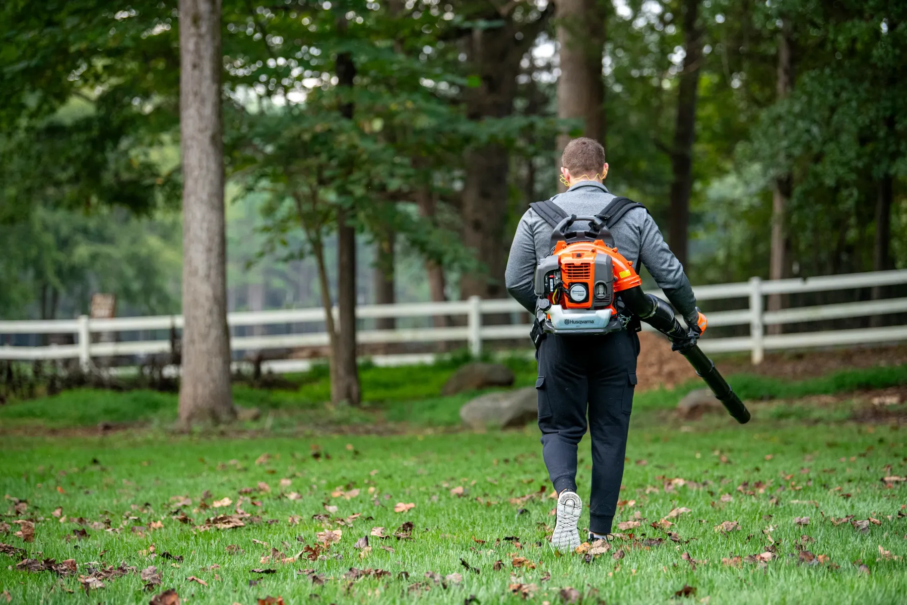 En person med en lövblås i ryggsäck går på en gräsmatta och blåser löv i ett skogsområde med träd, utspridda löv och ett vitt staket i bakgrunden.